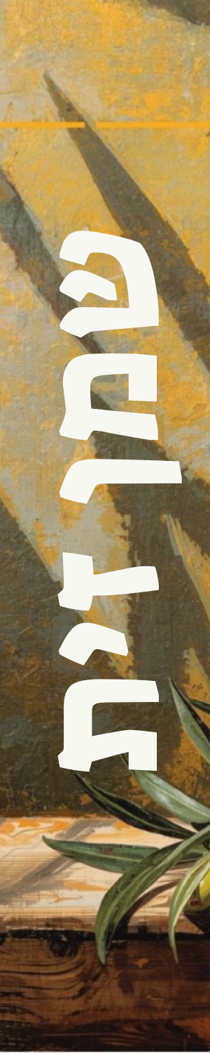 שמן זית כתית מעולה