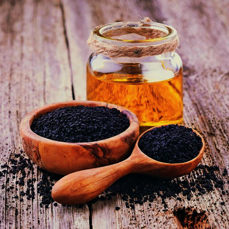 קצח - Nigella sativa: בית מרקחת קדום