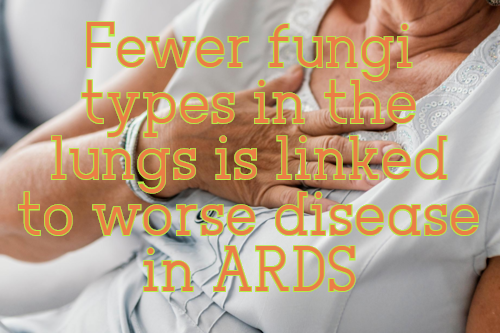 מיקוביום - תסמונת מצוקה נשימתית חריפה (ARDS)