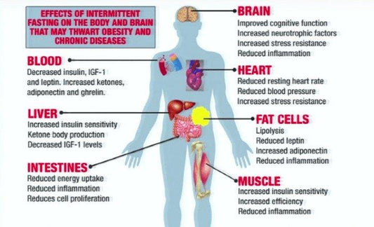 צום מקוטע/לסרוגין- intermittent fasting