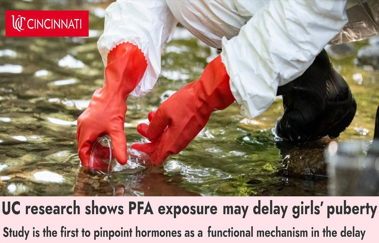 מחקר מראה שחשיפה ל-PFAs עשויה לעכב את התבגרותן של בנות