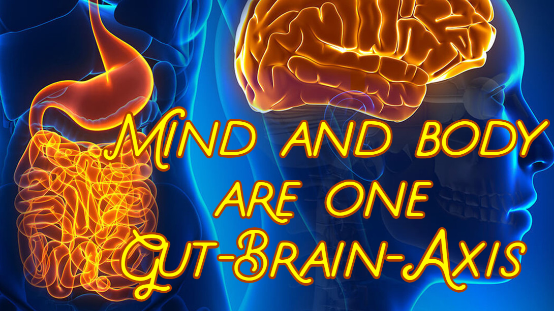 הקשר בין המוח והנפש למיקרוביום - Gut-Brain-Axis