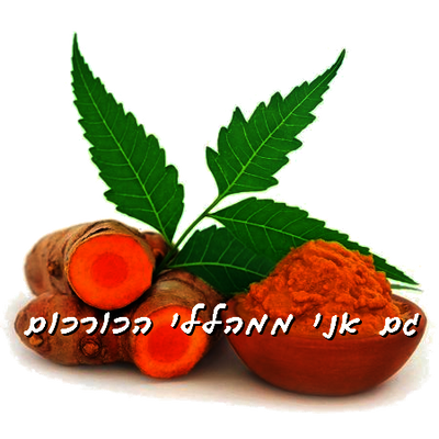 כורכום הצמח הנחקר ביותר בעולם - הללו