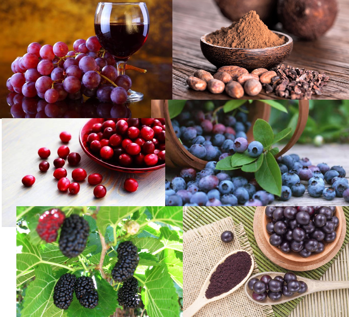 רזרבטרול - Resveratrol