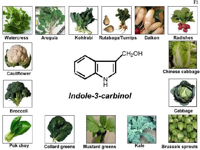משפחת המצליבים והיכולות האנטי-סרטניות