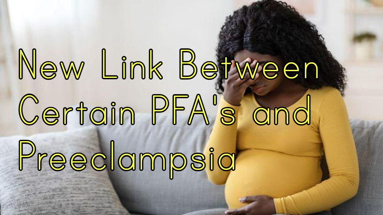 הקשר בין חומרים אורגניים מופלרים (PFAs) בתחילת ההריון ביחס לתתי סוגים של רעלת הריון
