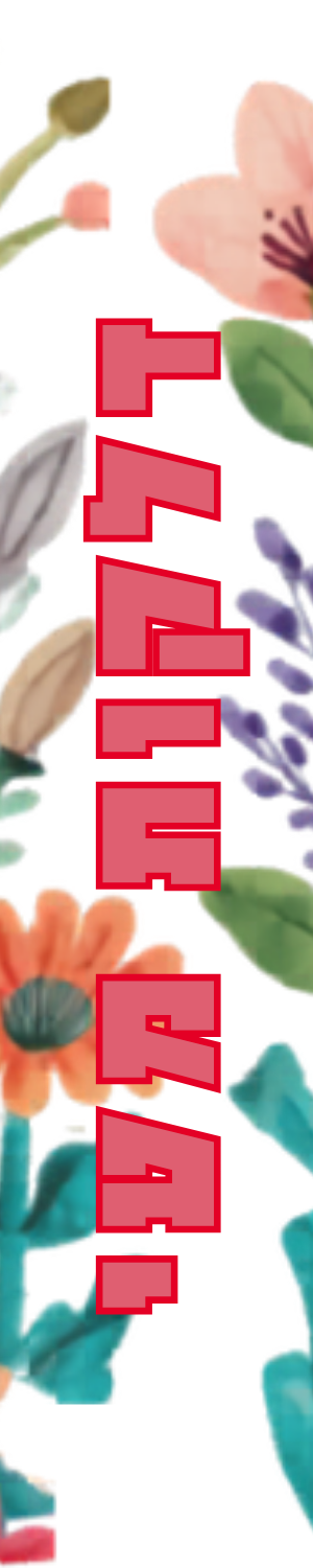 דלקות מעי (IBD)